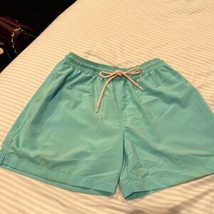 Chubbies swim trunks